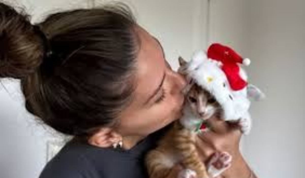 . No le podía faltar el gatito naranja para la Navidad…